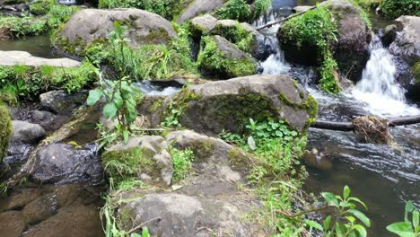 Enthüllte-Schuss-Des-Kolumbianischen-Wasserfalls