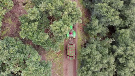 Drone-:tractor-Conduciendo-A-Través-De-Campos-De-Aguacate