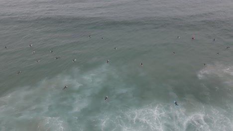 Top-View-Of-Surfers-Floating-On-Surfboards-In-The-Ocean---Bondi-Beach-In-Sydney,-Australia