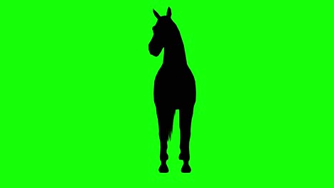 Silhouette-Eines-Pferdes,-Das-Nach-Rechts-Schaut,-Auf-Grünem-Bildschirm,-Vorderansicht