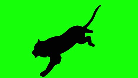 Silhouette-Eines-Laufenden-Tigers,-Auf-Grünem-Bildschirm,-Perspektivische-Ansicht