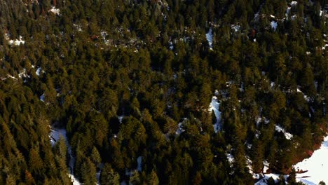 Aerial-View-of-Magical-Winter-Landscape-on-a-Sunny-Day