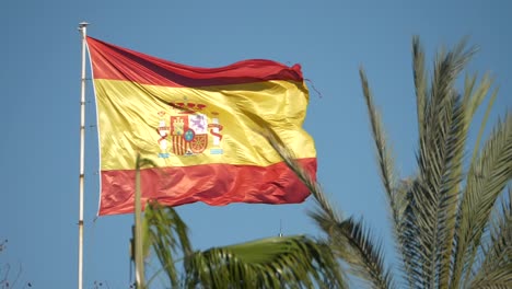 Zeitlupe-Der-Spanischen-Flagge,-Die-Im-Wind-Und-In-Der-Palme-Weht