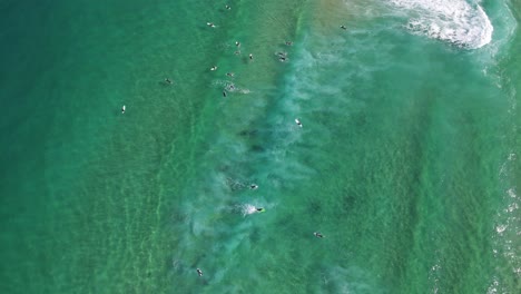 Bird's-Eye-View-Of-Surfers-Floating-On-The-Blue-Water-Of-Bondi-Beach-In-Australia