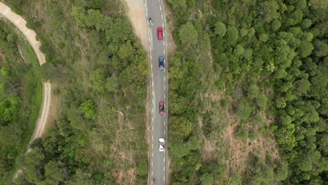 Top-down-view-of-cars-driving-through-a-forest-on-a-road