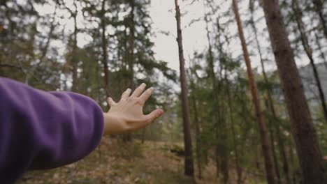 hands-playing-in-the-air-in-the-middle-of-the-woods-of-Italy