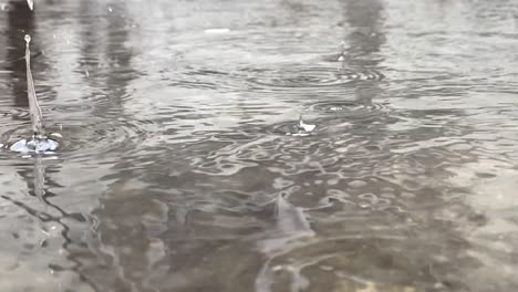 Rain-drops-in-slow-motion