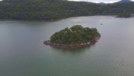 Green-Trees-Growing-On-A-Rocky-Island-In-River---Mooney-Mooney-Creek-In-New-South-Wales,-Australia