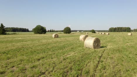 Low-aerial-flight-close-to-round-haybales-on-a-large-green-grassy-field-with-blue-skies-and-trees-in-the-background
