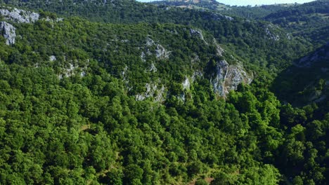 Aerial-view-of-mountains-with-trees-and-cliffs