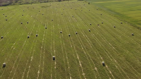 High-aerial-point-of-view-of-round-haybales-on-a-large-green-grassy-field-with-forest-in-the-background