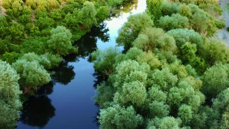 Aerial-view-of-calm-river-with-trees-on-its-banks