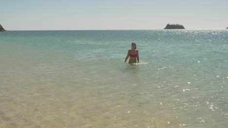 Una-Turista-Sexy-Emerge-En-Una-Playa-De-Agua-Reluciente-En-La-Isla-De-Langford,-Whitsundays-En-Queensland,-Australia