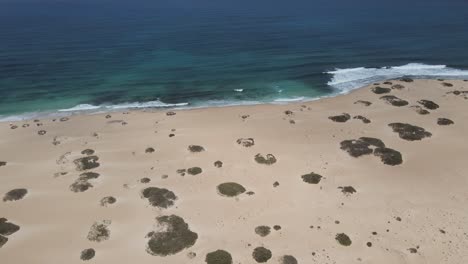 Luftdrohnenaufnahme-Der-Wüstendünen-Und-Des-Strandes-In-Fuerteventura-Auf-Den-Kanarischen-Inseln