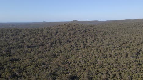 Vista-Aérea-De-árboles-Densos-En-El-Bosque---Brezales-En-La-Isla-De-North-Stradbroke,-Queensland,-Australia