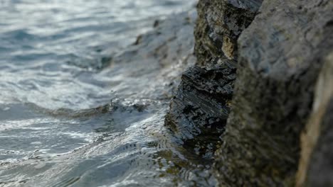 Gentle-slow-motion-waves-washing-over-coastal-rocks-peaceful-concept