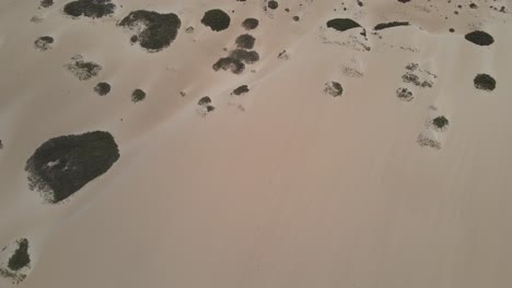 aerial-drone-shot-of-the-desert-dunes-and-beach-in-Fuerteventura-in-the-Canary-Islands
