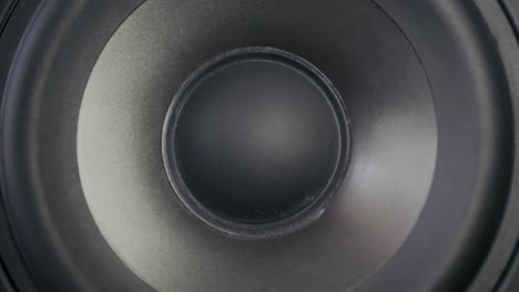 Speaker-cone-in-out-pumping-from-bass-sound