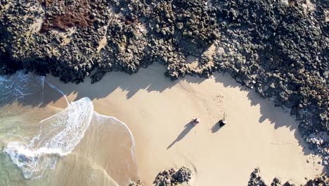 Aerial:-Birdseye-view-of-backpacker-sitting-on-beautiful-beach