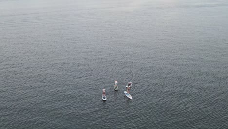 Friends-During-Stand-Up-Paddle-Boarding-On-Serene-Seascape
