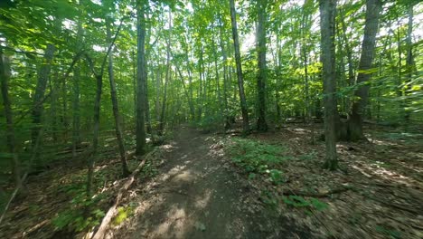 FPV-drone-speeding-along-a-hiking-trail-under-the-tree-canopy-with-the-sun-flashing-through-the-leaves-and-ending-with-a-quick-pan-right
