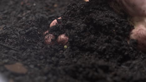Close-up-of-a-farmer's-hand-feeling-the-soil,-4K