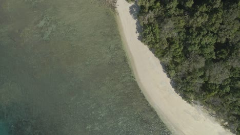 Weißer-Sandstrand-Mit-Grüner-Vegetation-An-Der-Korallenmeerküste-Der-Kimberley-halbinsel,-Qld,-Australien