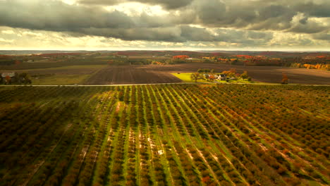 Drone-footage-of-a-cherry-orchard-in-northern-Michigan