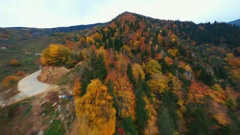 Luftaufnahme-Der-Schwarzmeerwälder-Mit-Fpv-drohne-Im-Herbst