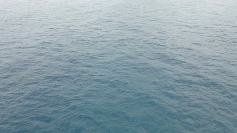 Buckelwal-Start-Landet-Dann-Auf-Dem-Rücken-Und-Verursacht-Wasserspritzer-Im-Blauen-Meer---Walbeobachtung-In-Gold-Coast,-Australien