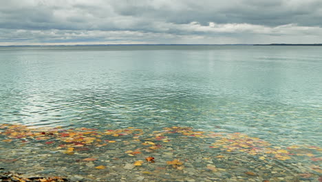 Blätter-Im-Herbst-Schwimmen-Auf-Dem-Michigansee