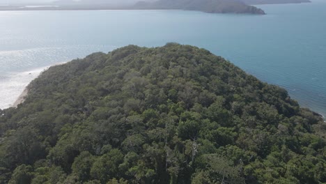 Flying-over-the-mountain-forest-of-Snapper-Island-in-Australia--Aerial
