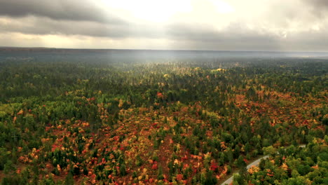 Hyperlapse-Von-Sonne-Und-Wolken,-Die-Sich-über-Den-Herbstwald-Im-Norden-Von-Michigan-Bewegen