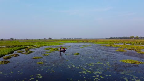 Aerial-bird's-eye-view-drone-shot-of-Indian-men-fishing-on-a-dhow-canoe-boat-at-a-paddy-field-submerged-in-water-in-Kolkata,-West-Bengal