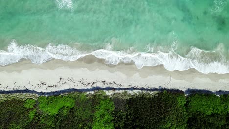 Straight-down-drone-shot-of-beautiful-green-white-capped-waves-of-the-Atlantic-Ocean-crashing-over-the-white-sand-beach-of-Hutchinson-Island-in-South-Florida-on-a-wonderful-clear-sunny-day
