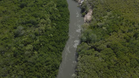 Daintree-River-Amidst-Tropical-Rainforest-In-North-Queensland,-Australia