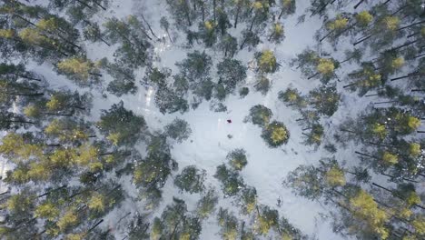 Aerial-top-down-view-of-a-person-with-orange-jacket-and-backpack-hiking-in-snow-covered-forest