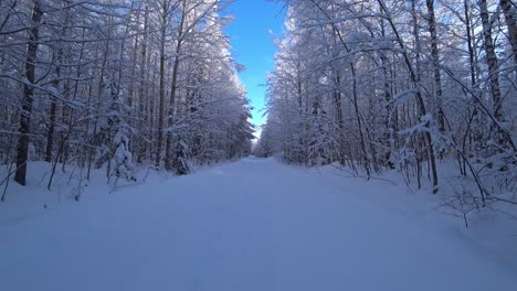 Point-of-view-walking-on-snow-covered-forest-road,-with-beautiful-snow-covered-trees-on-both-sides