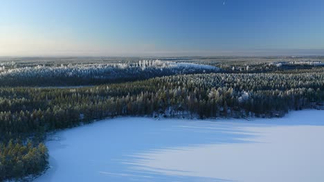 Forward-moving-aerial-over-frozen-lake-and-forest