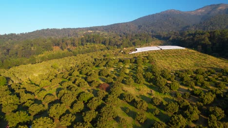 Aerial-vertigo-pull-in-shot-of-Hass-avocado-ranch-located-within-mountains-in-Michoacán-Mexico