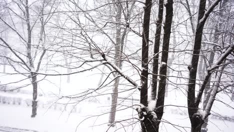 Snowing-Hard.-Latvia,-Riga.-2021.12.01
