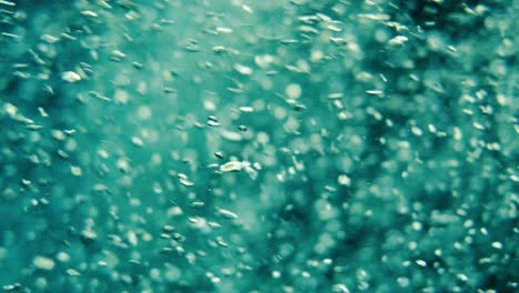 Zeitlupe-Von-Luftblasen,-Die-Vom-Meeresboden-Zur-Wasseroberfläche-Schweben