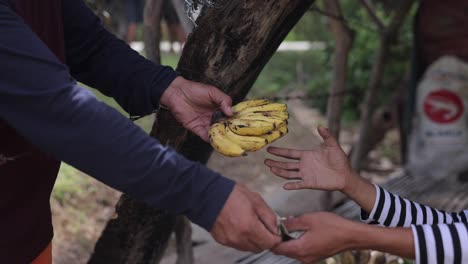Mano-De-Dos-Personas-Vendiendo-Plátanos-A-Cambio-De-Dólares