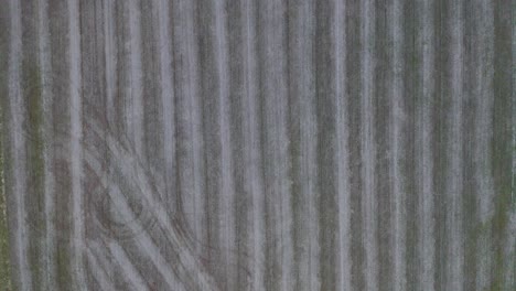 Eine-Dolly-Luftaufnahme-Von-Oben-Nach-Unten-Eines-Frisch-Gemähten-Ackerlandes,-Auf-Dem-Mais-In-Frankfurt,-Kentucky,-Angebaut-Wird,-Kurz-Vor-Sonnenuntergang-Mit-Dunkler-Atmosphäre