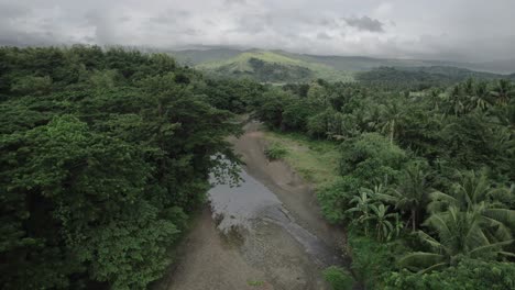 Selva-De-Palmeras-En-Filipinas-Vista-Aérea-Paisaje-Natural