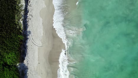 Active-waves-breaking-over-the-sandy-beach-in-South-Florida,-marine-life-surfaces-from-reef