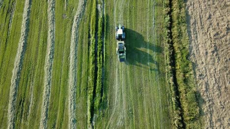 Green-meadow-tractor-driving-and-harvesting-followed-by-bird's-eye-top-down-drone-view-4K