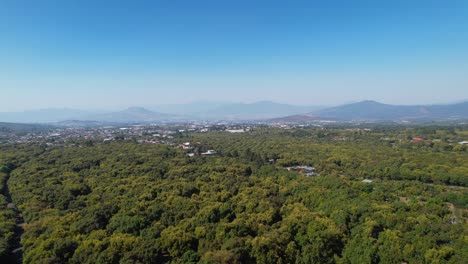Langsamer-Luftaufstieg-über-Grüne-Hass-Avocadobäume-Mit-Blick-Auf-Berge-Und-Kleine-Pueblo-In-Mexiko-Michoacán