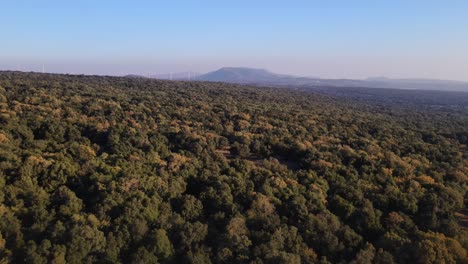 Aerial-view-of-Oak-forest-in-Golan-Heights-and-Mount-Hermon-Oak-forest-in-Golan-Heights,-Mt