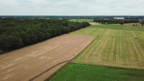 Weizenfeld-Und-Wiese-Mit-Wald-Und-Kleinem-See-Im-Hintergrund-4k-Drohne